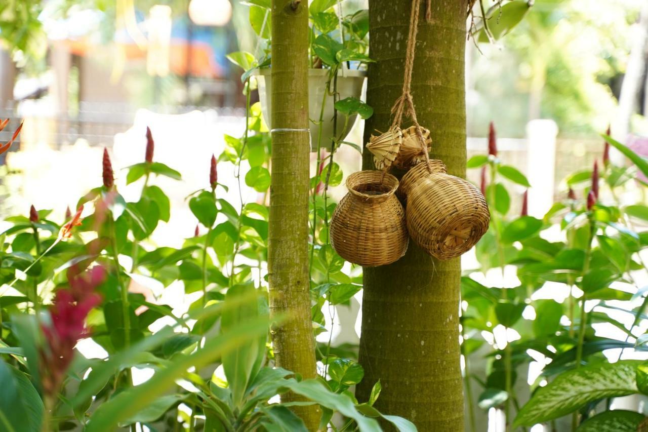 Longan Homestay Hoi An Eksteriør billede