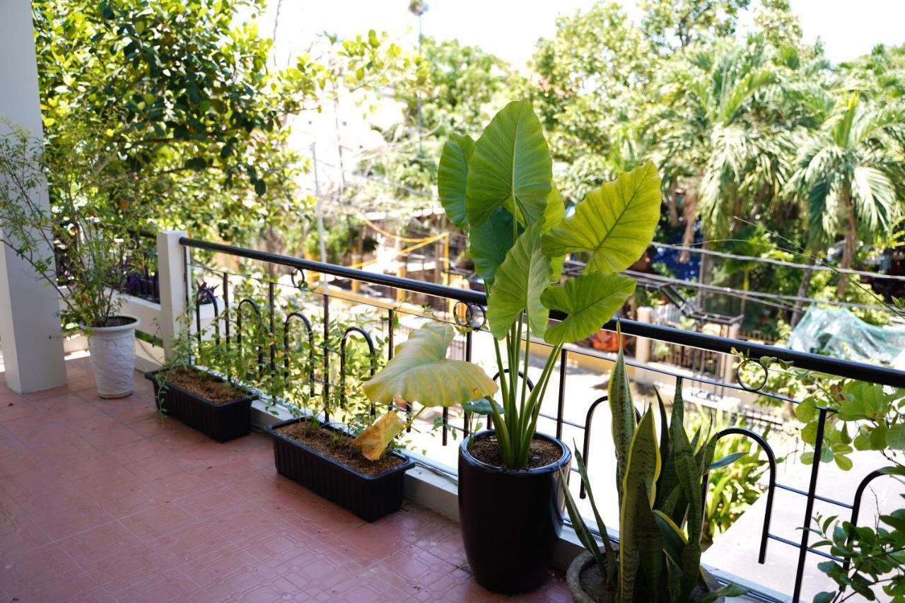 Longan Homestay Hoi An Eksteriør billede